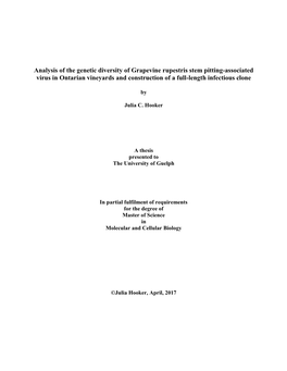 Analysis of the Genetic Diversity of Grapevine Rupestris Stem Pitting-Associated Virus in Ontarian Vineyards and Construction of a Full-Length Infectious Clone