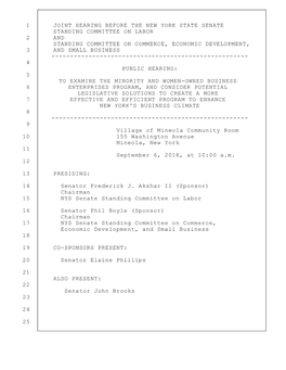 09-06-18 NYS Senate MWBE Hearing Final.Ecl