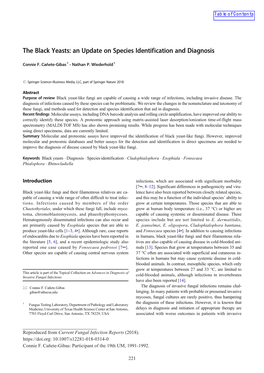 The Black Yeasts: an Update on Species Identification and Diagnosis Pullulan Produced by Aureobasidium Melanogenum P16