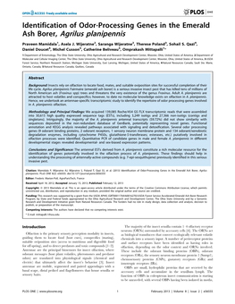 Identification of Odor-Processing Genes in the Emerald Ash Borer, Agrilus Planipennis