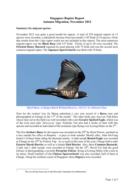 Singapore Raptor Report Autumn Migration, November 2012