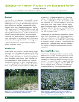 Evidence for Nitrogen-Fixation in the Salicaceae Family