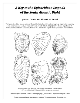 A Key to the Epicaridean Isopods of the South Atlantic Bight