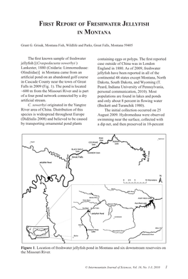 First Report of Freshwater Jellyfish in Montana