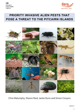 Priority Invasive Alien Pests That Pose a Threat to the Pitcairn Islands