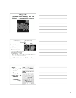 Chapter 15 Chromosomes, Mapping, and the Meiosis - Inheritance Connection