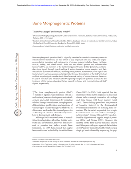 Bone Morphogenetic Proteins