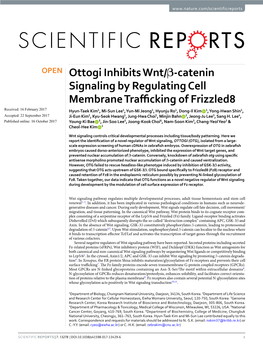 Ottogi Inhibits Wnt/Β-Catenin Signaling by Regulating Cell Membrane