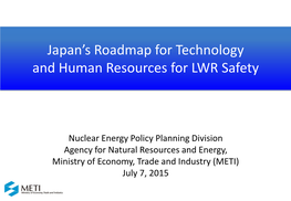 Japan's Roadmap for Technology and Human Resources for LWR Safety