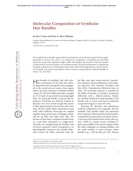 Molecular Composition of Vestibular Hair Bundles