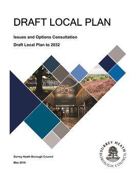 Issues and Options Consultation Draft Local Plan to 2032