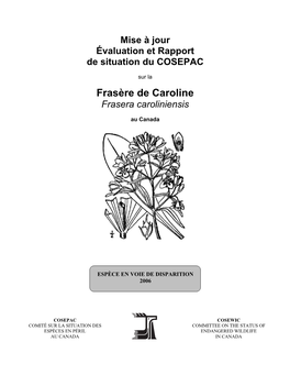 Frasère De Caroline (Frasera Caroliniensis) Au Canada – Mise À Jour