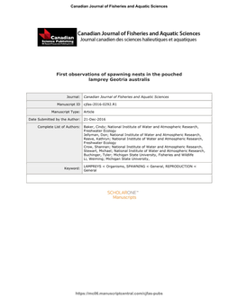 First Observations of Spawning Nests in the Pouched Lamprey Geotria Australis