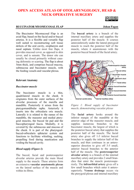 BUCCINATOR MYOMUCOSAL FLAP Johan Fagan