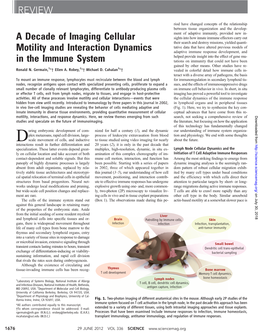 A Decade of Imaging Cellular Motility and Interaction Dynamics in the Immune System REVIEW