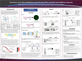 Interactions of the Novel HCN4-Associated Proteins Hint1