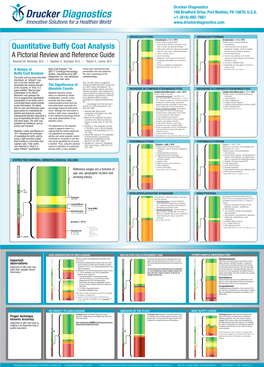 Quantitative Buffy Coat Analysis (QBC)