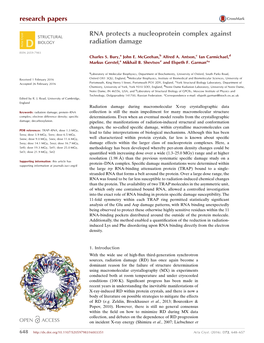 RNA Protects a Nucleoprotein Complex Against Radiation Damage