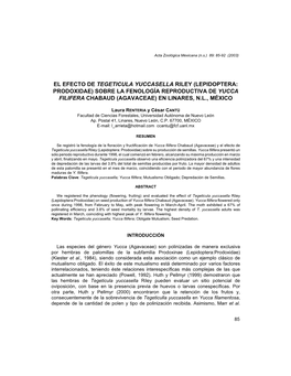 El Efecto De Tegeticula Yuccasella Riley (Lepidoptera: Prodoxidae) Sobre La Fenología Reproductiva De Yucca Filifera Chabaud (Agavaceae) En Linares, N.L., México