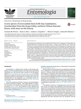 A New Species of Leurocephala Davis & Mc