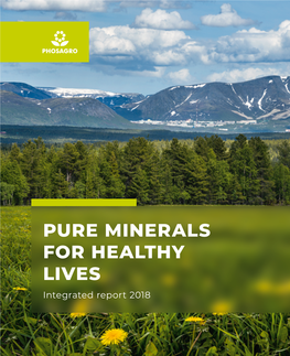 Pure Minerals for Healthy Lives