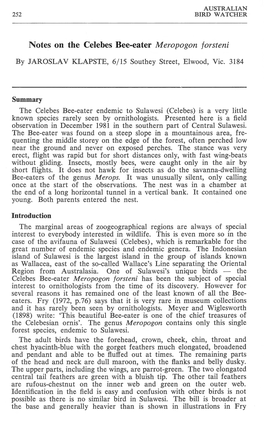 Notes on the Celebes Bee-Eater Meropogon Forsteni