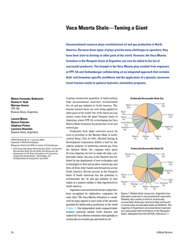 Vaca Muerta Shale—Taming a Giant