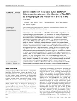 Sulfite Oxidation in the Purple Sulfur Bacterium Allochromatium Vinosum: Identification of Soeabc As a Major Player and Relevance of Soxyz in the Process