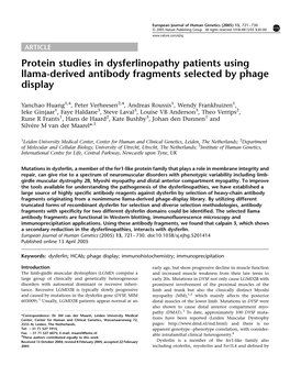 Protein Studies in Dysferlinopathy Patients Using Llama-Derived Antibody Fragments Selected by Phage Display
