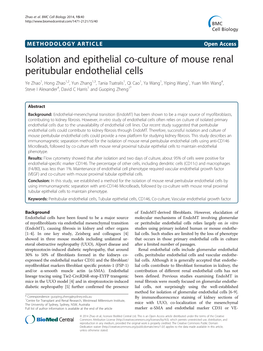 Isolation and Epithelial Co-Culture of Mouse Renal Peritubular Endothelial