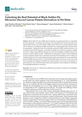 Unlocking the Real Potential of Black Soldier Fly(Hermetia Illucens)