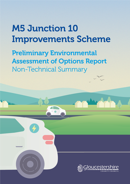 Preliminary Environmental Assessment of Options Report Non-Technical Summary