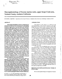 Macropaleontology of Eocene Marine Rocks, Upper Sespe Creek Area, Ventura County, Southern California