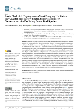 Rusty Blackbird (Euphagus Carolinus) Foraging Habitat and Prey Availability in New England: Implications for Conservation of a Declining Boreal Bird Species