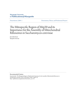 THE MITOSPECIFIC REGION of MRP20 and ITS IMPORTANCE for the ASSEMBLY of MITOCHONDRIAL RIBOSOMES in Saccharomyces Cerevisiae