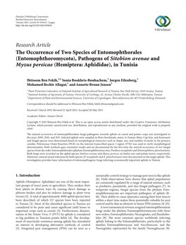 The Occurrence of Two Species of Entomophthorales (Entomophthoromycota), Pathogens of Sitobion Avenae and Myzus Persicae (Hemiptera: Aphididae), in Tunisia