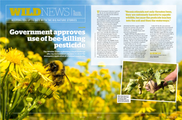 Government Approves Use of Bee-Killing Pesticide