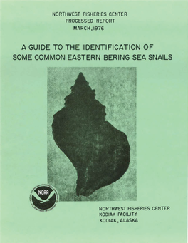 A Guide to Some Common Eastern Bering Sea Snails