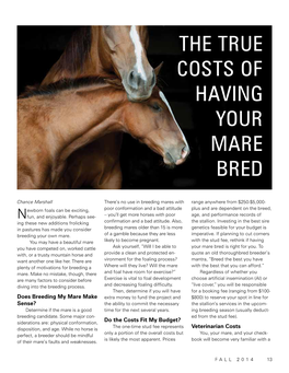 The True Costs of Having Your Mare Bred