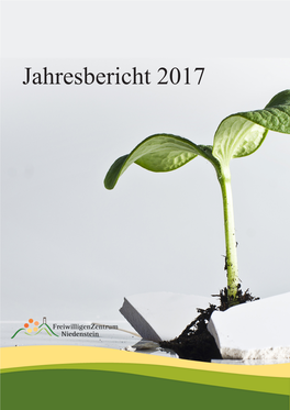 Jahresbericht 2017