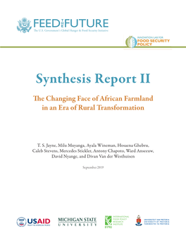 Synthesis Report II “The Changing Face Of