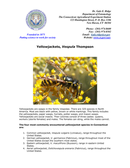 Yellowjackets, Vespula Thompson