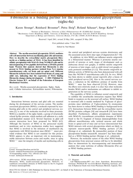 Fibronectin Is a Binding Partner for the Myelin-Associated Glycoproteinprovided by Elsevier - Publisher Connector (Siglec-4A)