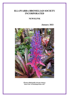 Illawarra Bromeliad Society Incorporated