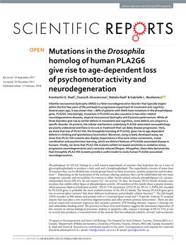 Mutations in the Drosophila Homolog of Human PLA2G6 Give Rise to Age-Dependent Loss of Psychomotor Activity and Neurodegeneratio