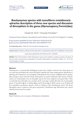 Brachymyrmex Species with Tumuliform Metathoracic Spiracles