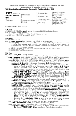 HORSE in TRAINING, Consigned by Conkwell Grange