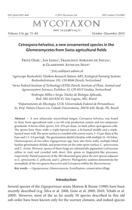 <I>Cetraspora Helvetica</I>, a New Ornamented Species in the <I