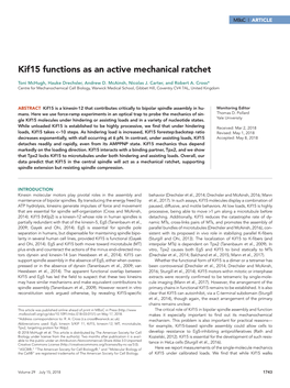 Kif15 Functions As an Active Mechanical Ratchet