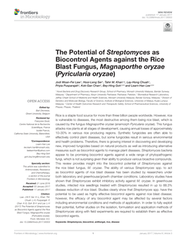 The Potential of Streptomyces As Biocontrol Agents Against the Rice Blast Fungus, Magnaporthe Oryzae (Pyricularia Oryzae)